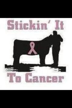 stomach cancer awareness more cattle horses cattle farms stomach ...