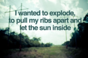 ... , inspiration, magic, outdoors, quote, quotes, ribs, sunshine, words