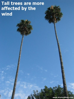 Tall trees are more affected by the wind - Wise Quotes - StatusMind ...