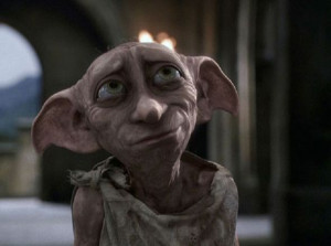 WATCH: Meet Dobby the dog the doppelgänger of Harry Potter house elf
