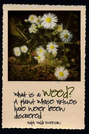 ... weed upon our planet naturally upon our planet over weed weed quotes
