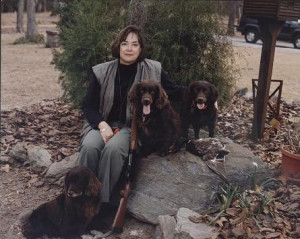 boykin spaniel Images and Graphics