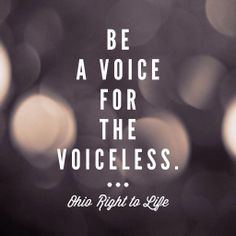 Be a voice for the voiceless TODAY. Visit OhioLife.org . #prolife More