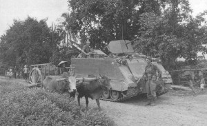Australian cavalry soldiers and their M113 APC watch as a team of oxen ...