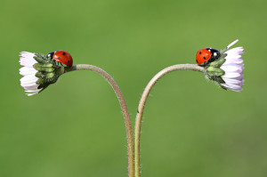 Submit a comment Cancel reply