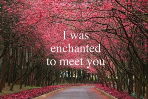 was_enchanted_to_meet_you_quote