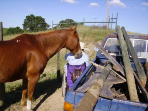 Thread: Real-World Survival Vehicle??? What do you have?