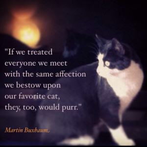 If we treated everyone we meet with the same affection we bestow upon ...