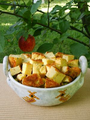 Cheese Croutons (using home-made bread crumbs, Parmesan cheese and ...