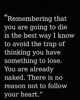 ... this realization after coming across the following Steve Jobs quote