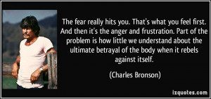 ... and-then-it-s-the-anger-and-frustration-part-charles-bronson-24226.jpg