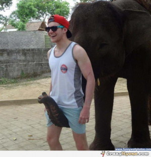 Funny Elephant Videos Names Call Gay Guy Latest