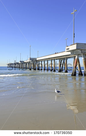 Pier Venice Beach Photography