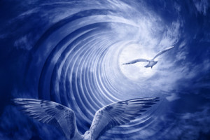 Di chuyển tư tưởng