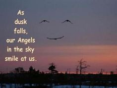 ... Thoughts, Angels Wings, Mother Nature, Neat Pictures, Guardian Angels