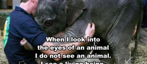 Animal Quotes Graphics