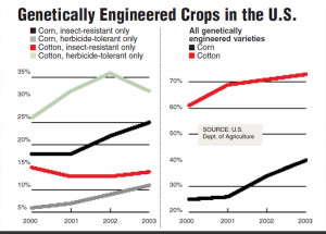 Genetically Engineered Foods Why the Controversy