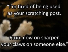 Warrior Cat Quotes More