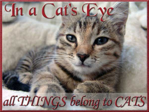 In a cat's eye all things belong to Cats.