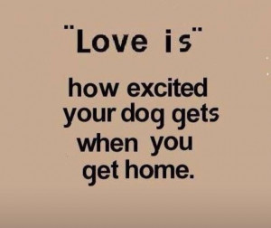 Pure unabashed joy.: Doggie, Dogs Quotes, The Doors, Pet, Love Is ...