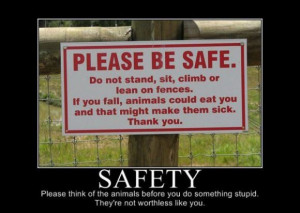 safety - Motivational Posters
