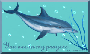In My Prayers quote
