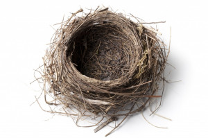 empty nest we want to thrive in an empty nest