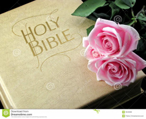 Royalty Free Stock Image: Pink roses on holy bible