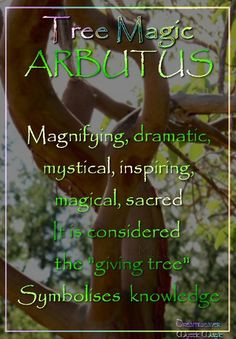 Arbutus Magnifying, dramatic, exciting, mystical, inspiring, magical ...