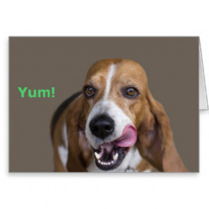 Basset Hound Dog Birthday Card