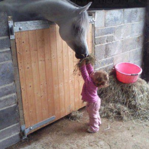 little-girls-and-their-horses