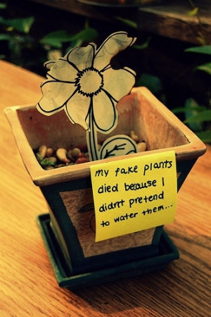 cute, fake, flower, message, quotes