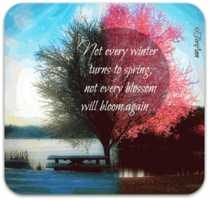 Not every winter turns to spring,not every blossom will bloom again...