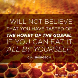 SpurgeonCharles Spurgeon, Wise Quotes, Christian Quotes, Christian Pin ...