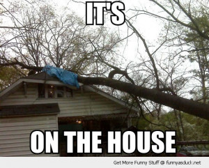on the house tree pun crashed fell roof funny pics pictures pic