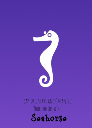 Share and Organize Your Photos with Seahorse