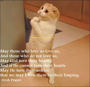 Leave a Reply Cancel reply