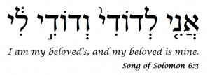 the song of solomon and a song of solomon 8