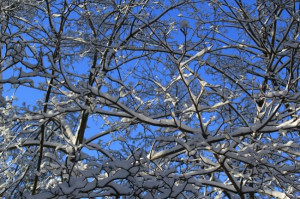 Famous Mermaid Quotes http://famous-quotes-about-dreams.pics-grabber ...