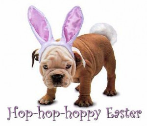 Happy and Healthy Easter Tips for your Pets