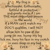 Dog Quotes Images Dog Quotes Pictures & Graphics - Page