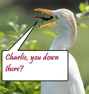 Hitch Quotes Memorable Page