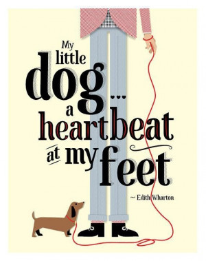 My little dog...a heartbeat at my feet”