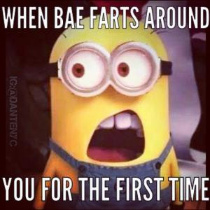when bae farts around you for the first time save to folder memes bae ...