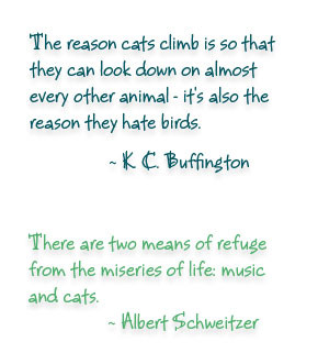 Cats Quotes About Love