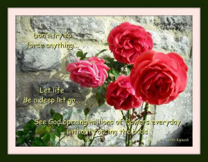quote from Osho on photograph of roses