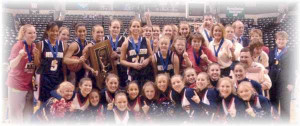 2001-02 IHSAA Girls Basketball State Tournament Series