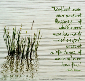 Reflect upon your present blessings—of which every man has many ...