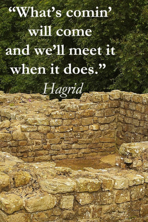HADRIAN'S WALL, ENGLAND, by Dr. J.T. McGinn -- – Explore quotes ...
