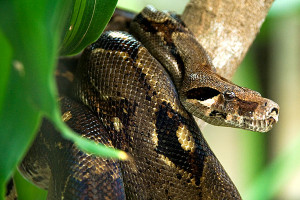 Funny Quotes Contact Dmca...